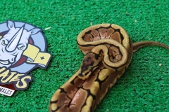 1027