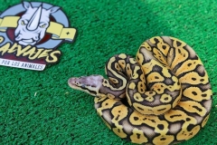 1049